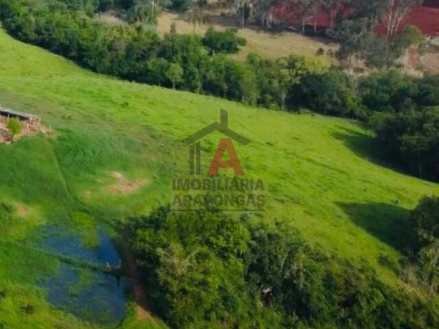 Chácara para Venda em Sabáudia - 4