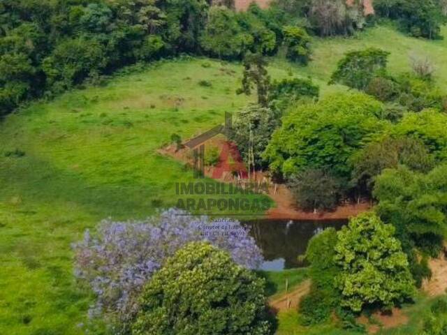 #21 - Chácara para Venda em Sabáudia - PR