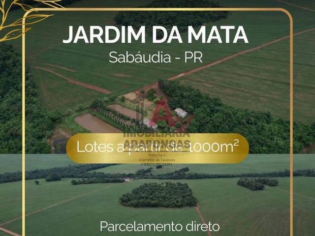 Área para Venda em Sabáudia - 4